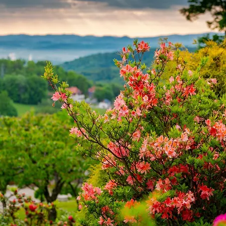 ホームステイ Gazdowka Sniadania Wanna Termalna シクラルスカ・ポレンバ