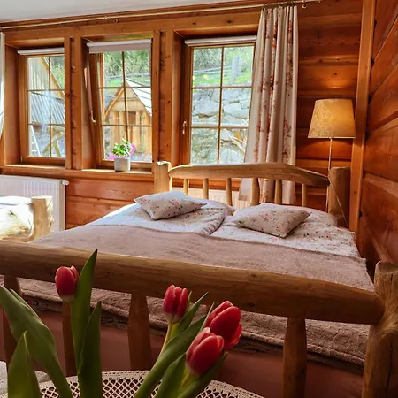 Willa Gazdowka Noclegi Szklarska Poreba Sniadania Wanna Termalna בית אירוח שצ'קלארסקה פוראובה