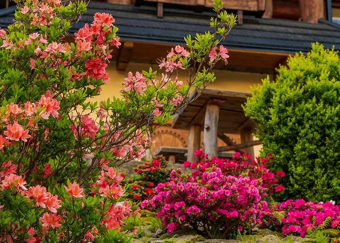 Ubytování v soukromí Gazdowka Sniadania Wanna Termalna Sklářská Poruba